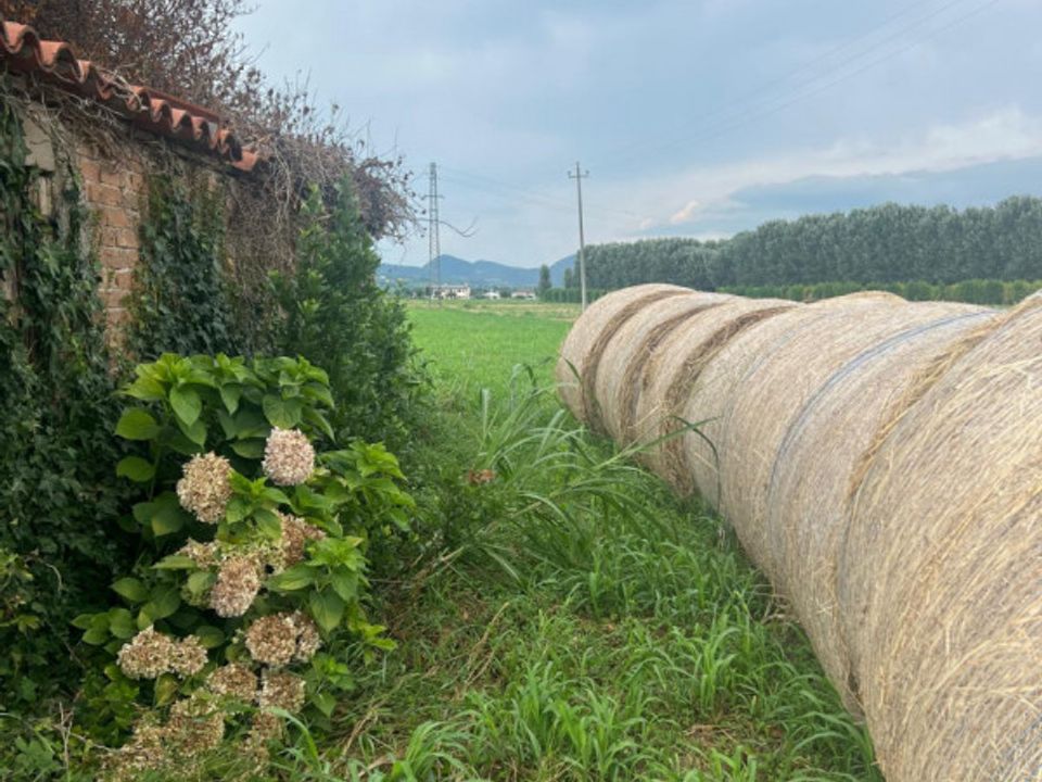 Landejendom i Monselice, Padua - foto 1