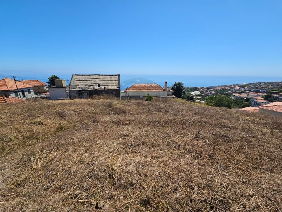 Helårsgrund i Calheta, Madeira - foto 4