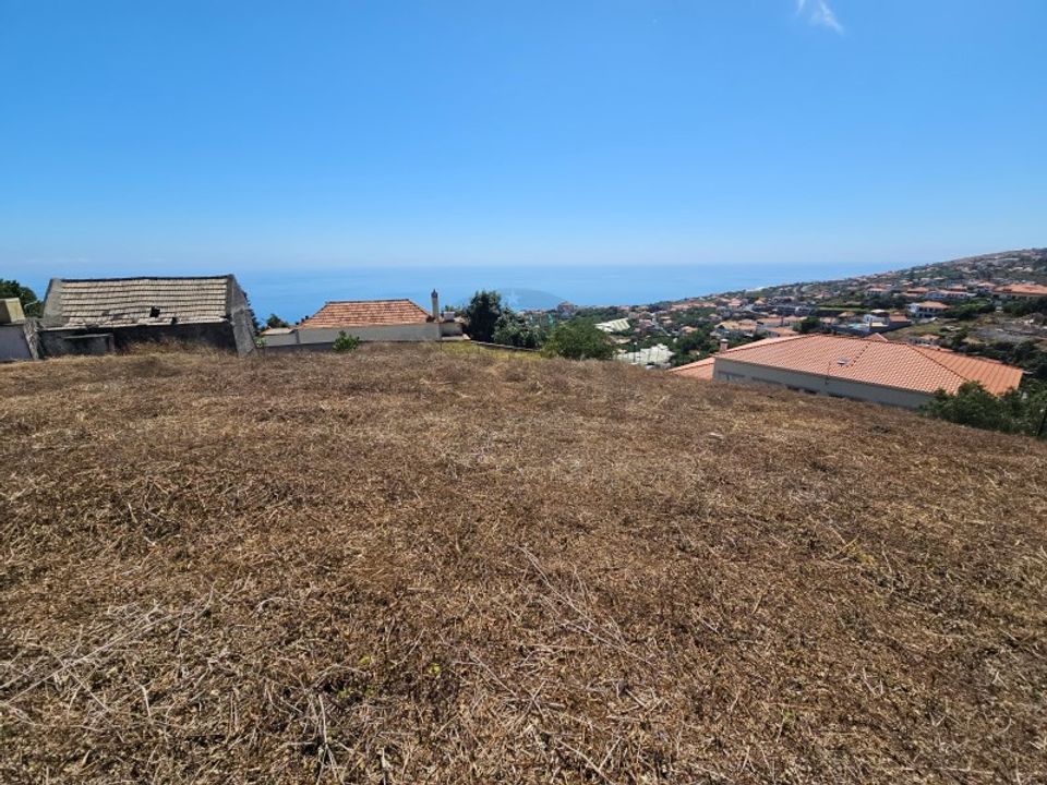 Helårsgrund i Calheta, Madeira - foto 5