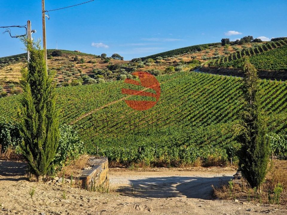 Farm i Vila Nova de Foz Coa, Guarda - foto 1