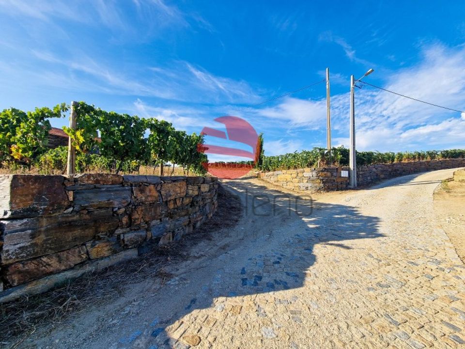 Farm i Vila Nova de Foz Coa, Guarda - foto 2