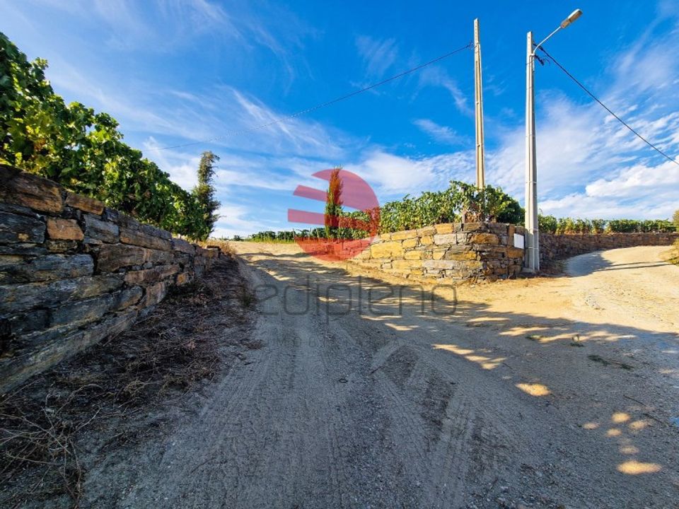 Farm i Vila Nova de Foz Coa, Guarda - foto 3