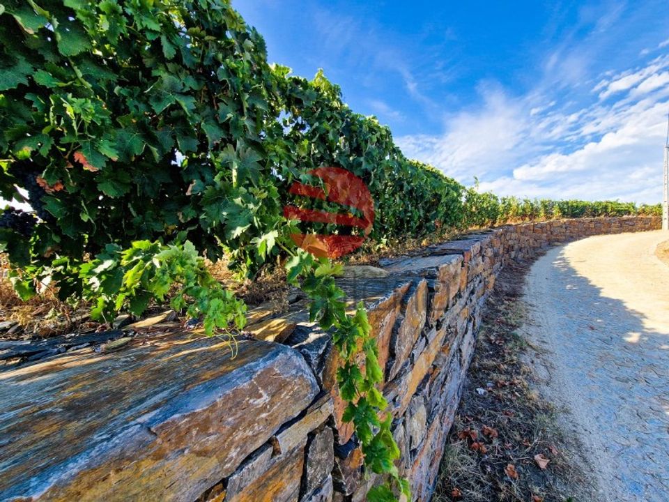 Farm i Vila Nova de Foz Coa, Guarda - foto 4