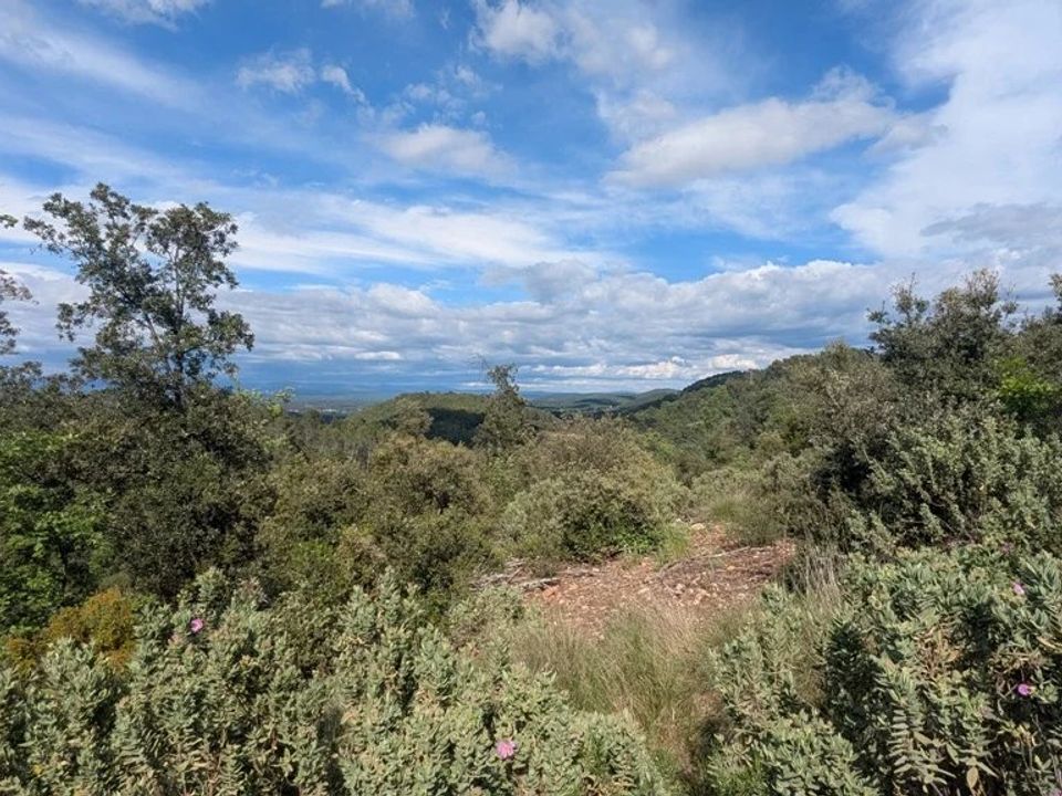 Działka: Carcès, Var – zdjęcie 3