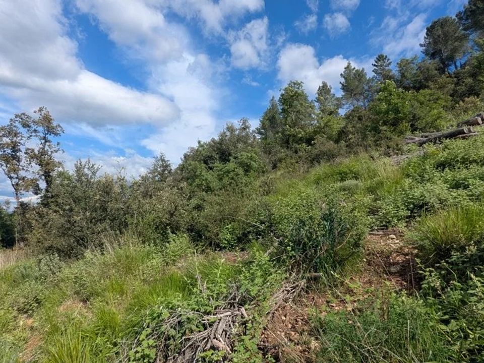 Działka: Carcès, Var – zdjęcie 1