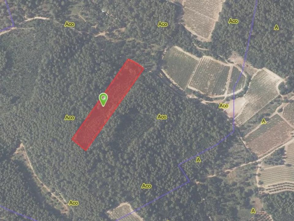Terra a Le Thoronet, Var - foto 2