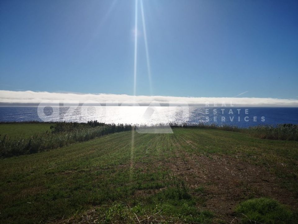 Tomt i Ginetes, Sao Miguel - bilde 3