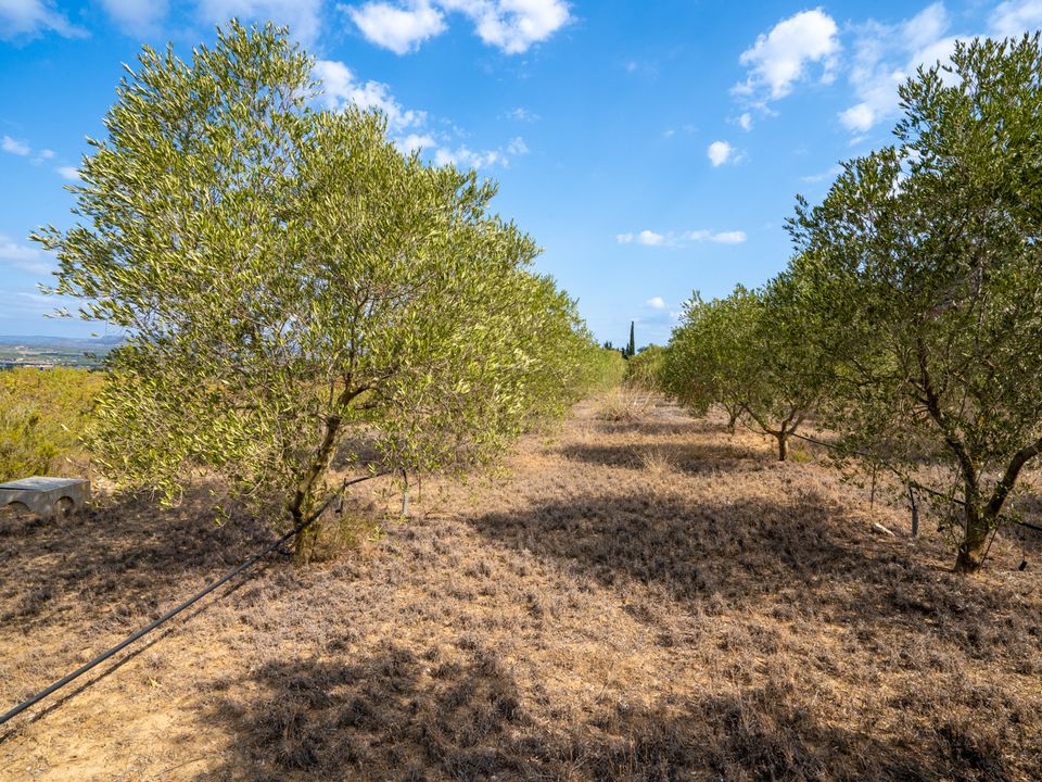 Finca i Ginestar, Tarragona - foto 2