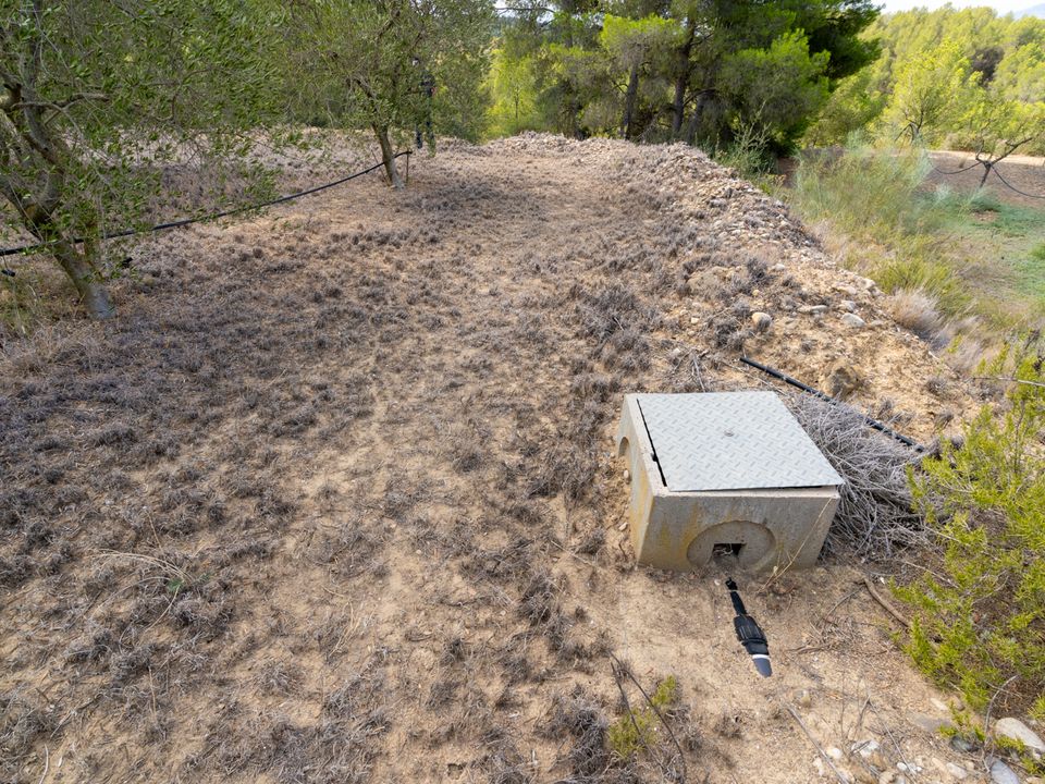 Finca i Ginestar, Tarragona - foto 3
