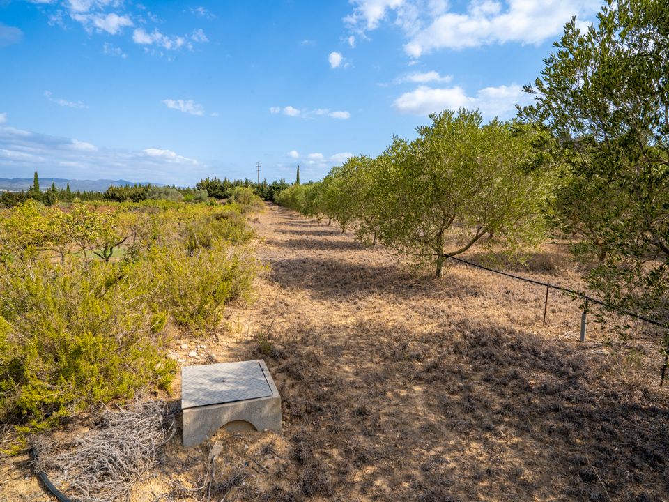 Finca i Ginestar, Tarragona - foto 1
