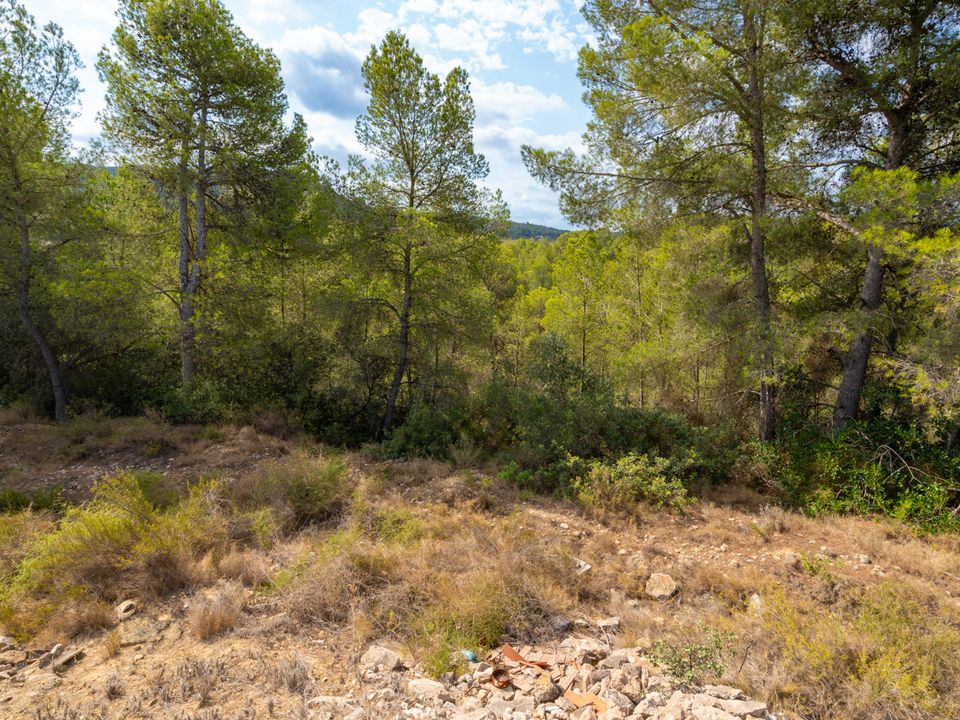 Finca i Ginestar, Tarragona - foto 5