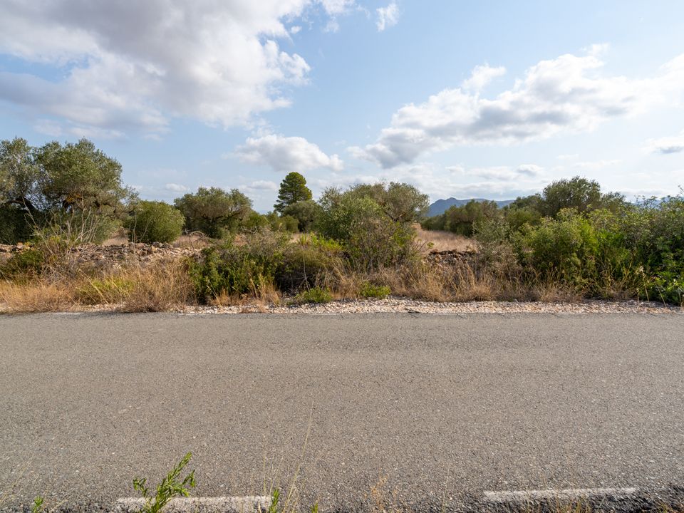 Finca i Ginestar, Tarragona - bilde 5