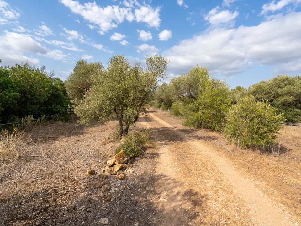 Finca i Ginestar, Tarragona - bilde 2