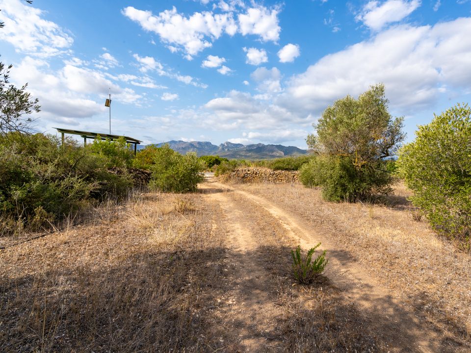 Finca i Ginestar, Tarragona - bilde 3
