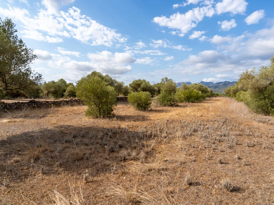 Finca i Ginestar, Tarragona - bilde 1