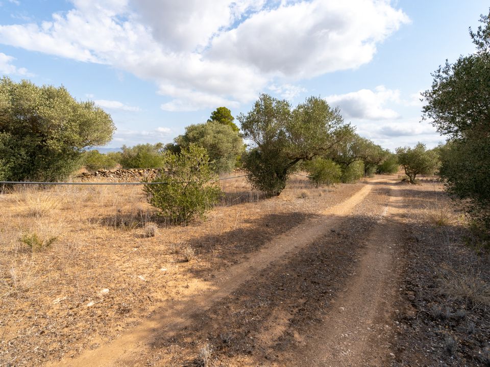 Finca i Ginestar, Tarragona - bilde 4