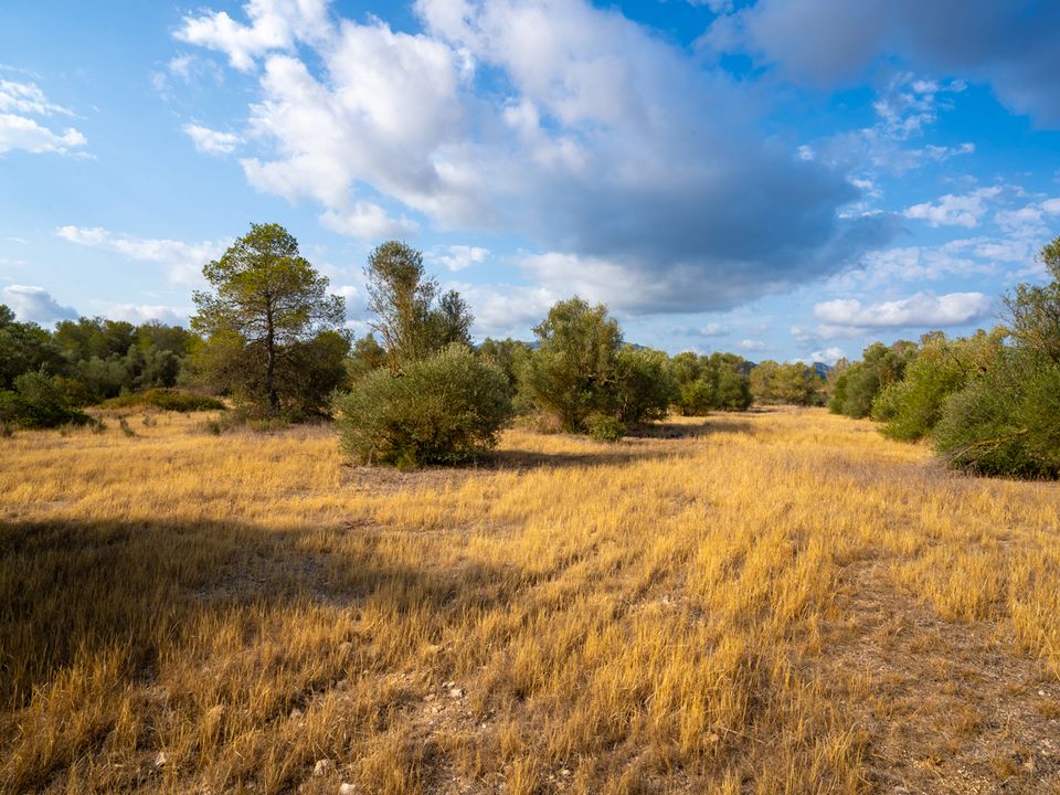 Finca i Ginestar, Tarragona - foto 5