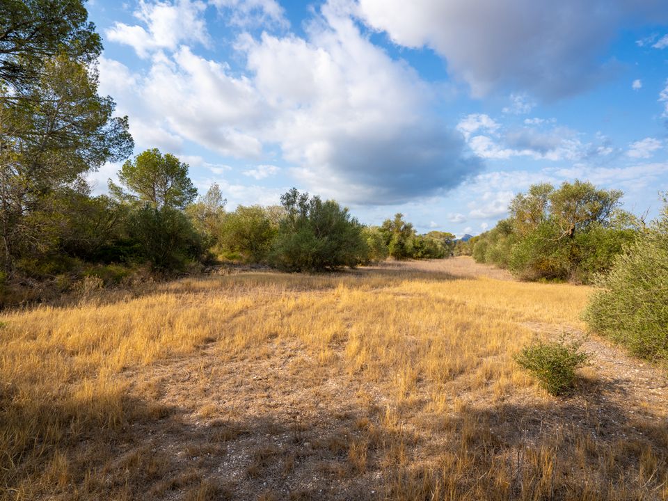 Finca i Ginestar, Tarragona - foto 3
