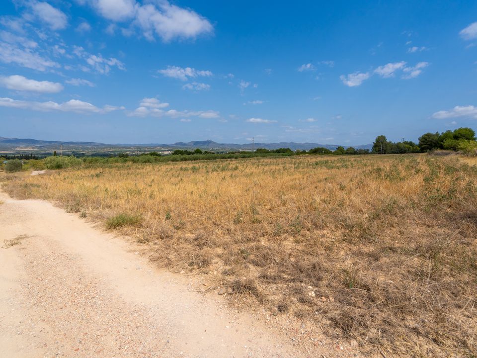 Finca i Ginestar, Tarragona - foto 3
