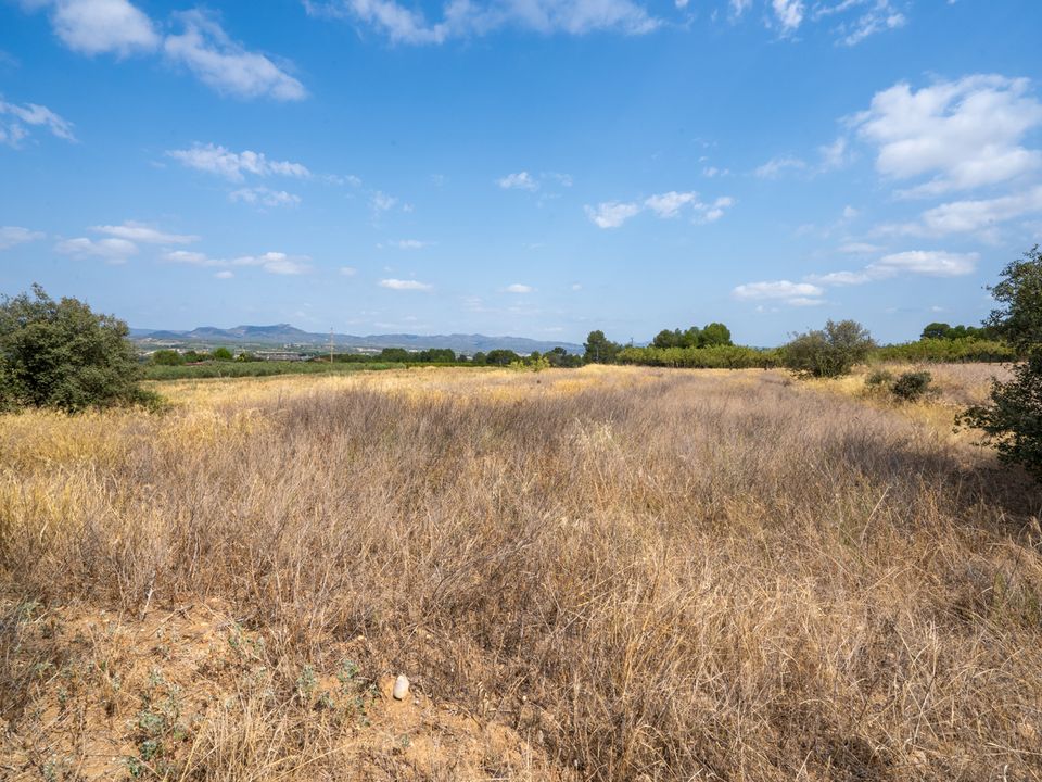 Finca i Ginestar, Tarragona - foto 1