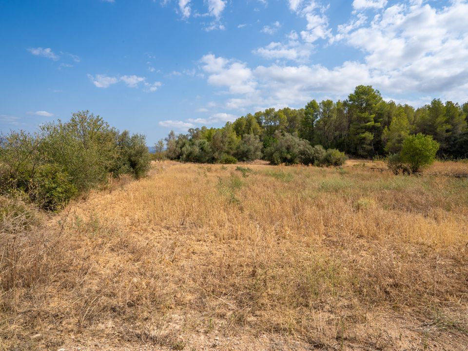 Finca i Ginestar, Tarragona - foto 5