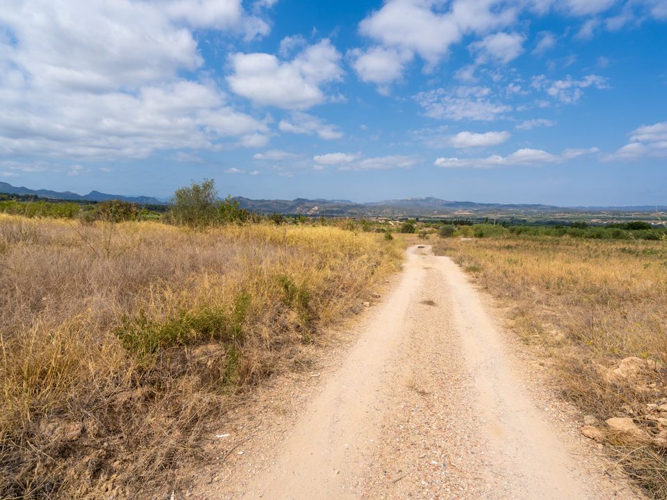 Finca i Ginestar, Tarragona - foto 4