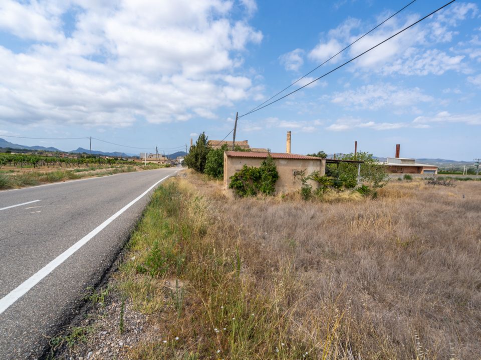 Finca i Ginestar, Tarragona - foto 4