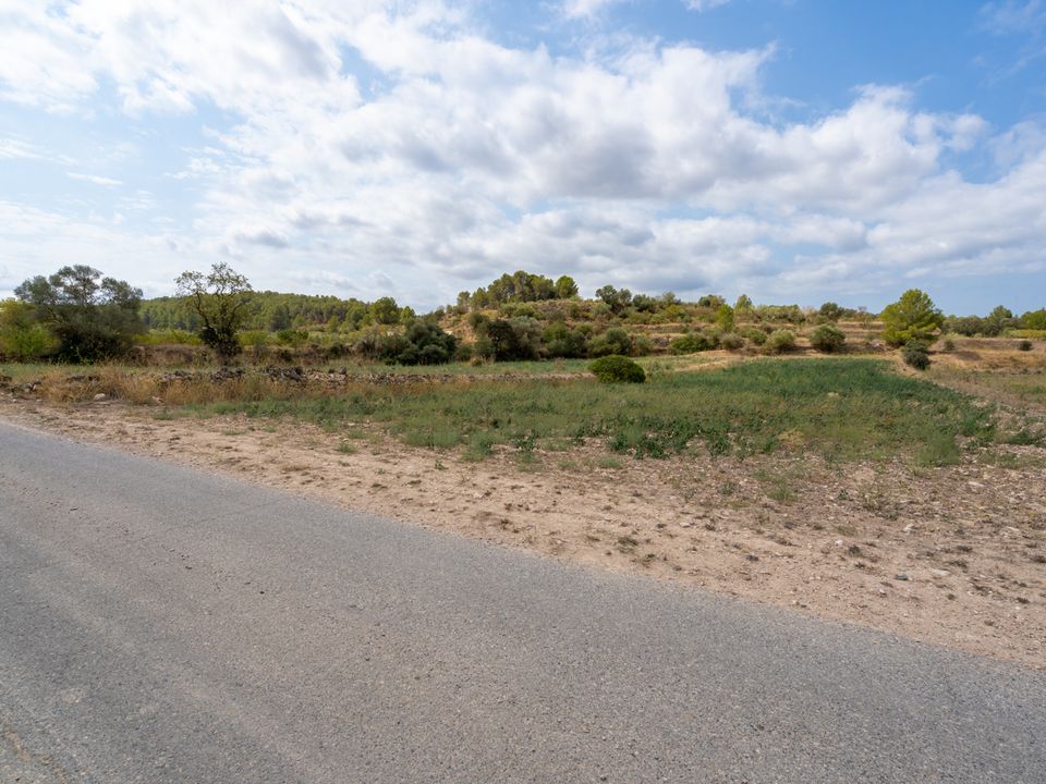 Finca i Ginestar, Tarragona - foto 1