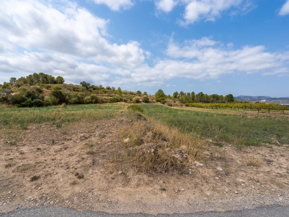Finca i Ginestar, Tarragona - foto 3