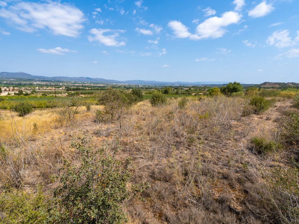 Finca i Ginestar, Tarragona - foto 4