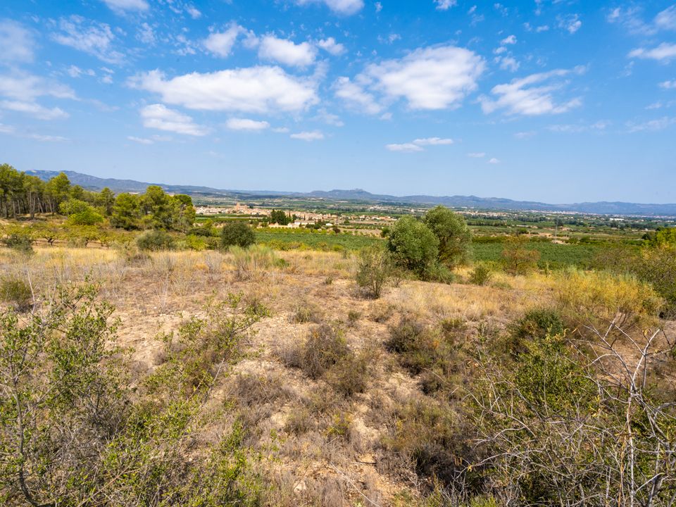 Finca i Ginestar, Tarragona - foto 5