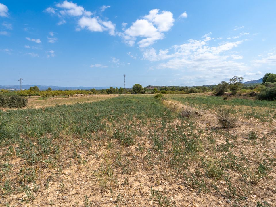 Finca i Ginestar, Tarragona - foto 2