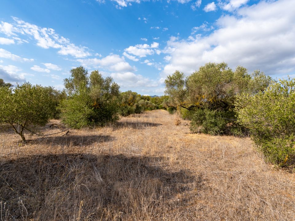 Finca i Ginestar, Tarragona - foto 2