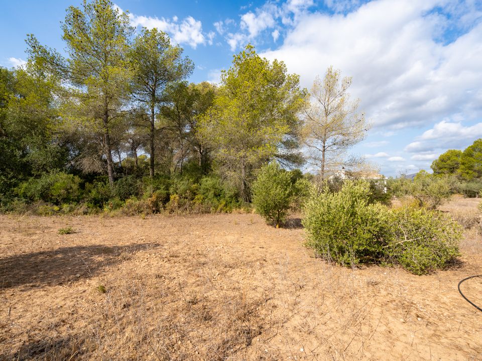 Finca i Ginestar, Tarragona - foto 5