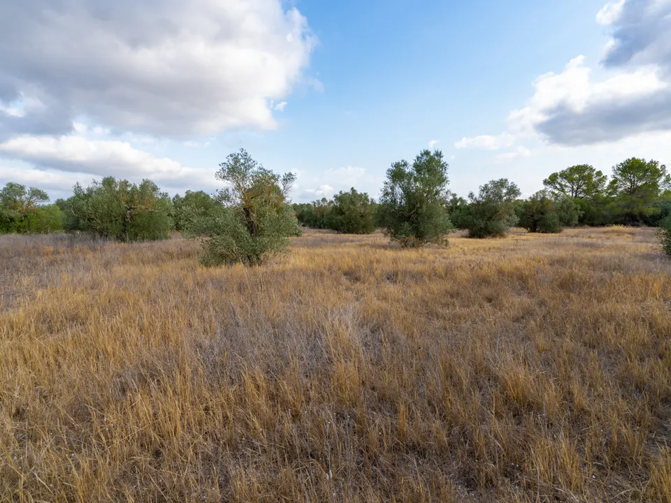 Finca i Ginestar, Tarragona - foto 3