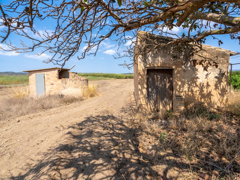 Finca i Ginestar, Tarragona - foto 1