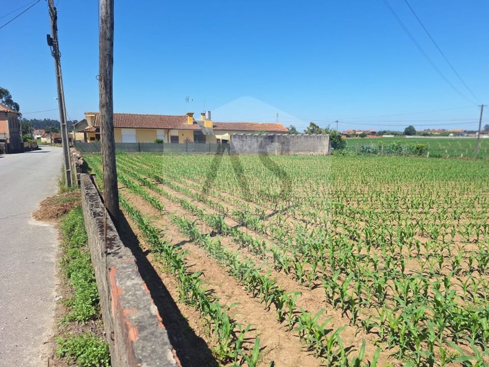 Helårsgrund i Quinta do Loureiro, Aveiro - foto 4