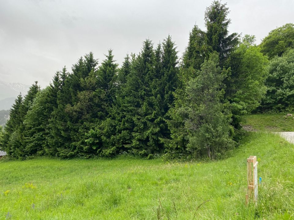 Tomt i Jarrier, Savoie - bilde 5