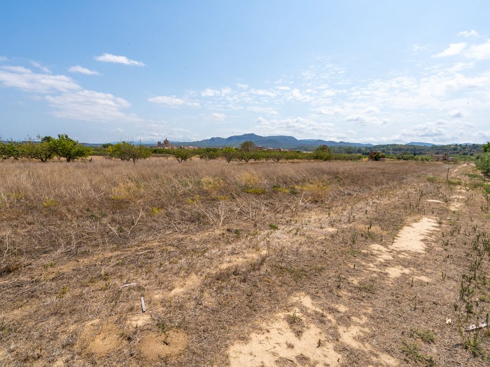 Finca i Ginestar, Tarragona - bilde 5