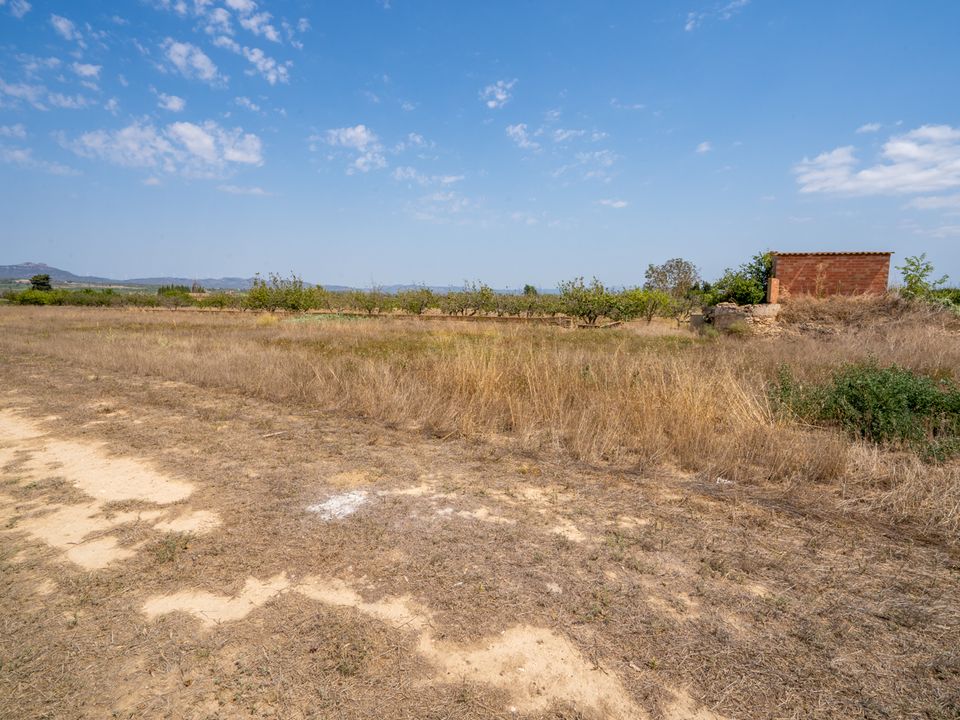 Finca i Ginestar, Tarragona - bilde 4