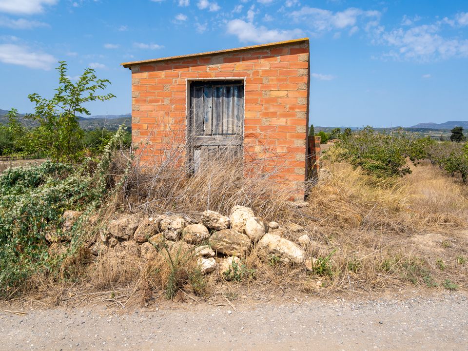 Finca i Ginestar, Tarragona - bilde 2