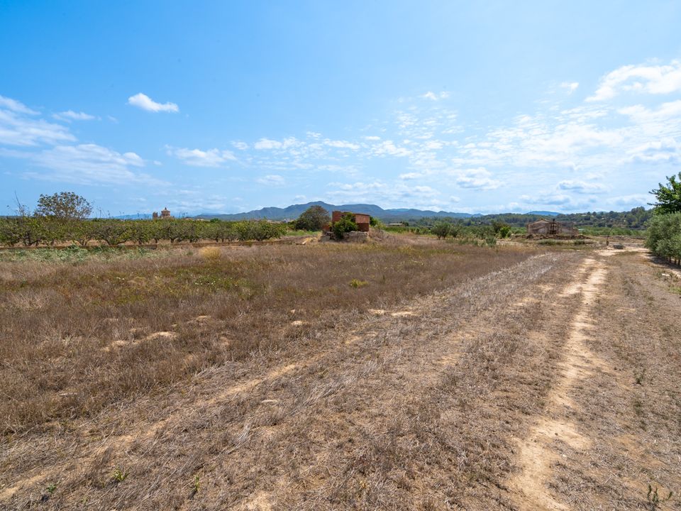 Finca i Ginestar, Tarragona - bilde 1
