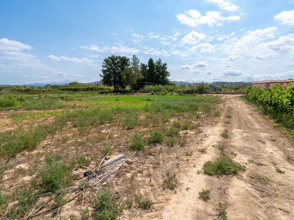 Finca i Ginestar, Tarragona - foto 1