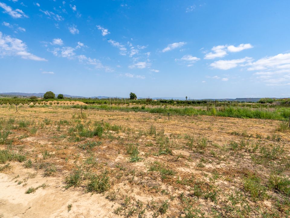 Finca i Ginestar, Tarragona - foto 4