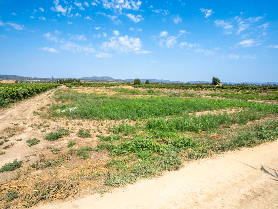 Finca i Ginestar, Tarragona - foto 2