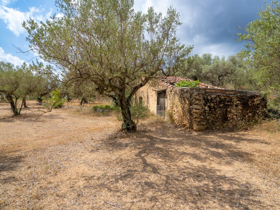 Finca en Mas De Barberans, Tarragona - foto 3