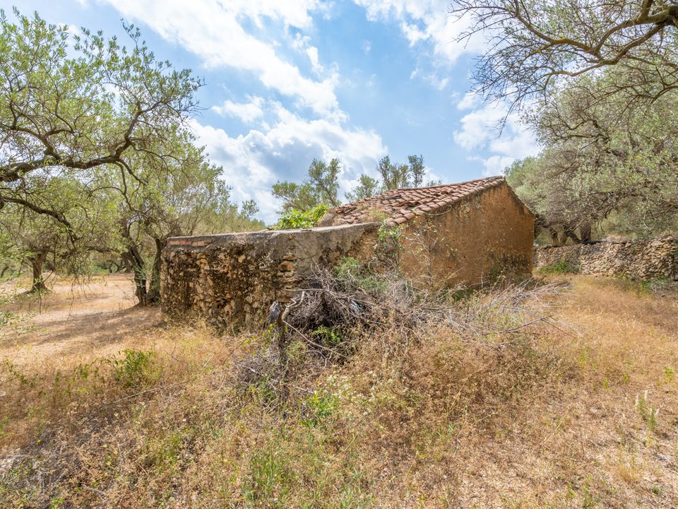 Finca en Mas De Barberans, Tarragona - foto 4