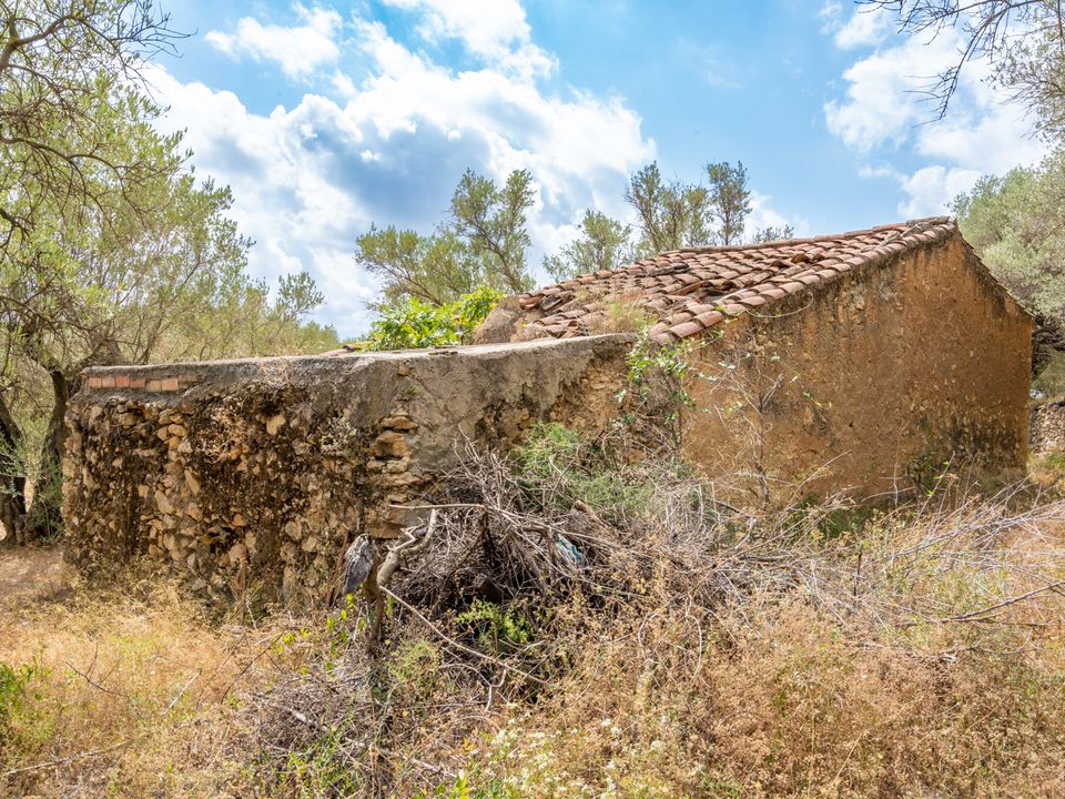 Finca en Mas De Barberans, Tarragona - foto 5