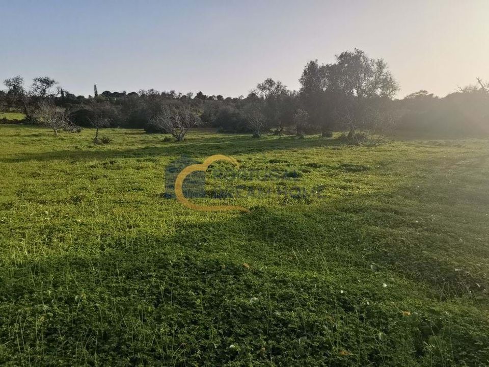 Helårsgrund i Albufeira, Faro - foto 1