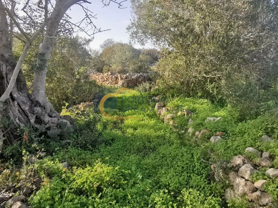 Helårsgrund i Albufeira, Faro - foto 5